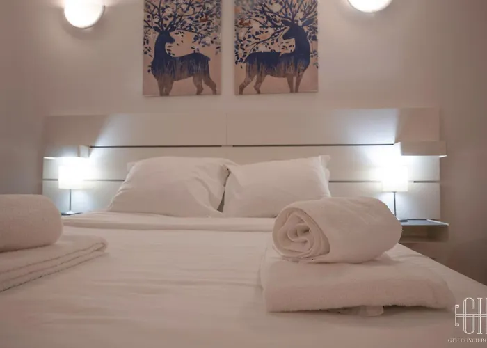 Appartement Le Corail /100m Gare Tours